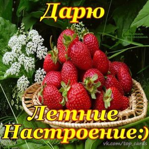 летнее настроение1