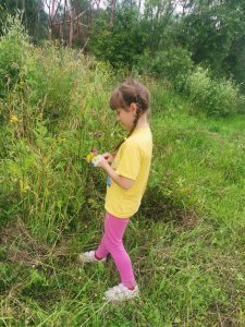 мир лекарственных растений3