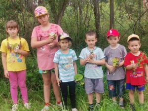 мир лекарственных растений5