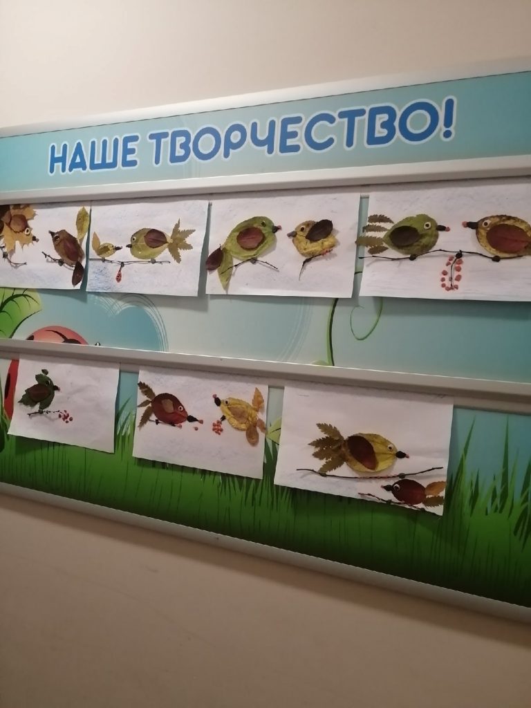 удивительный мир птиц 2