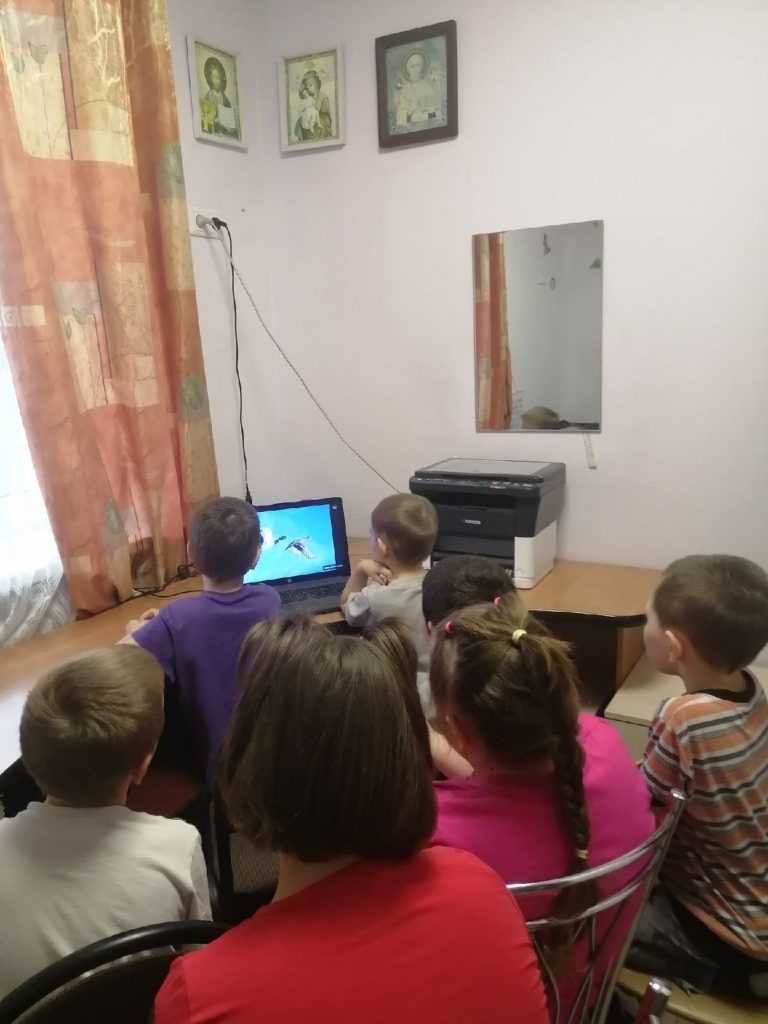 удивительный мир птиц