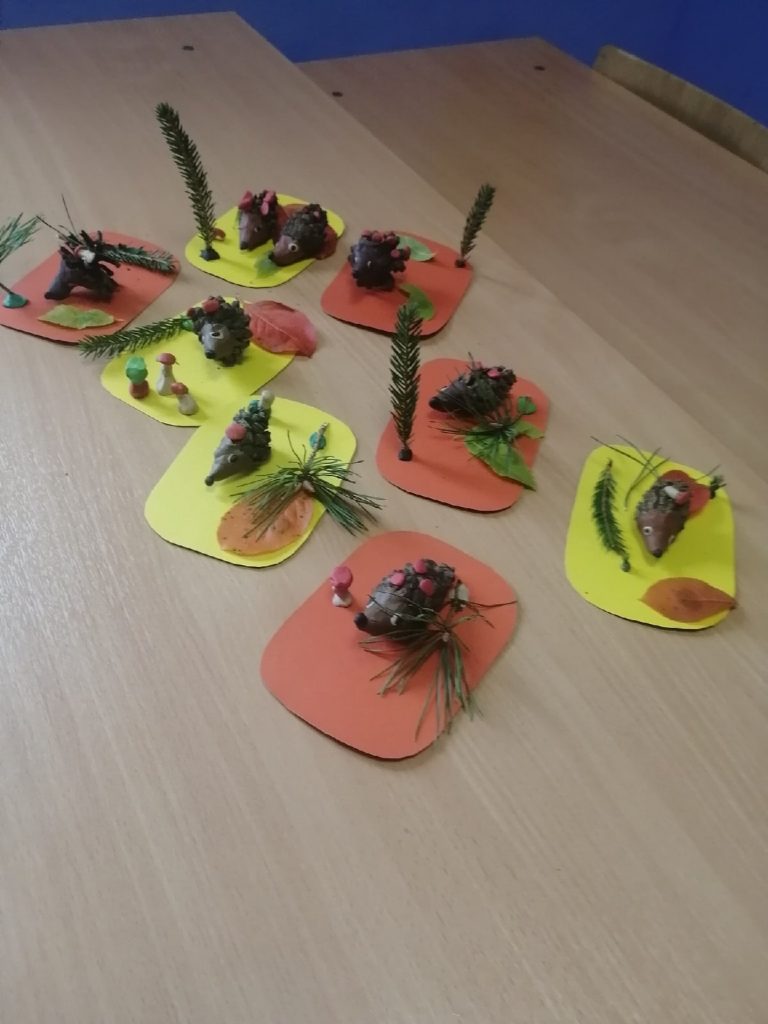 вот они какие ежики лесные 4